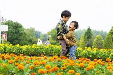 【千葉県野田市】清水公園花ファンタジア「秋の部」スタート！