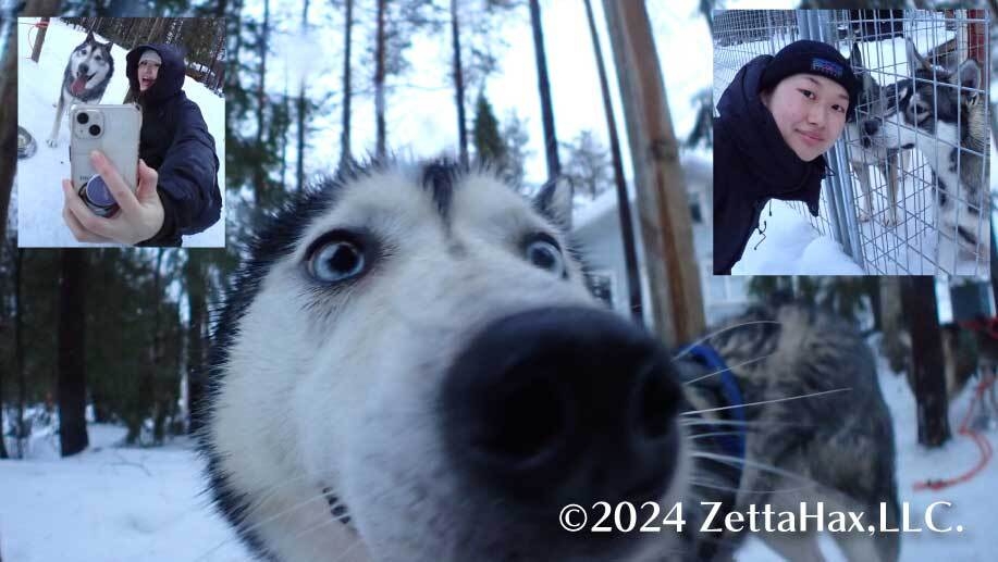 北極圏で犬ソリツアー
