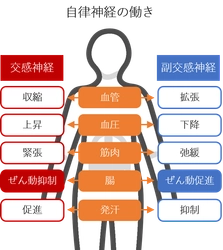 季節の変わり目は、便秘に要注意！ 腸内細菌が働く“オフィス”を綺麗に　 「大腸劣化」の悪影響に関する 小林 暁子先生監修の新着コラムを公開
