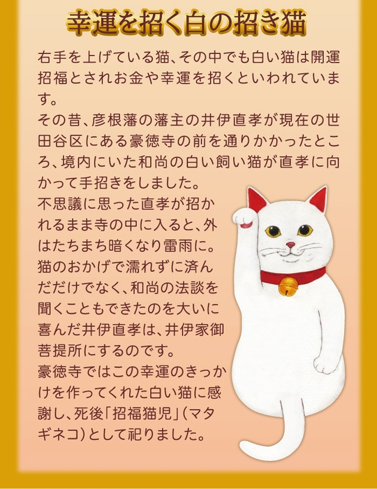 金運アップの招き猫!開運招き猫パンツ