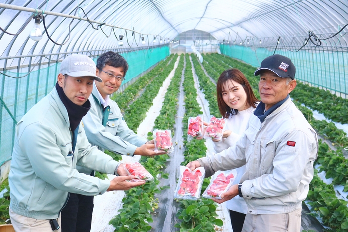 いちご農園での様子