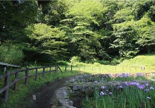 最優秀賞 受賞作品(写真:片倉城跡公園、画像提供:八王子・日野カワセミ会)