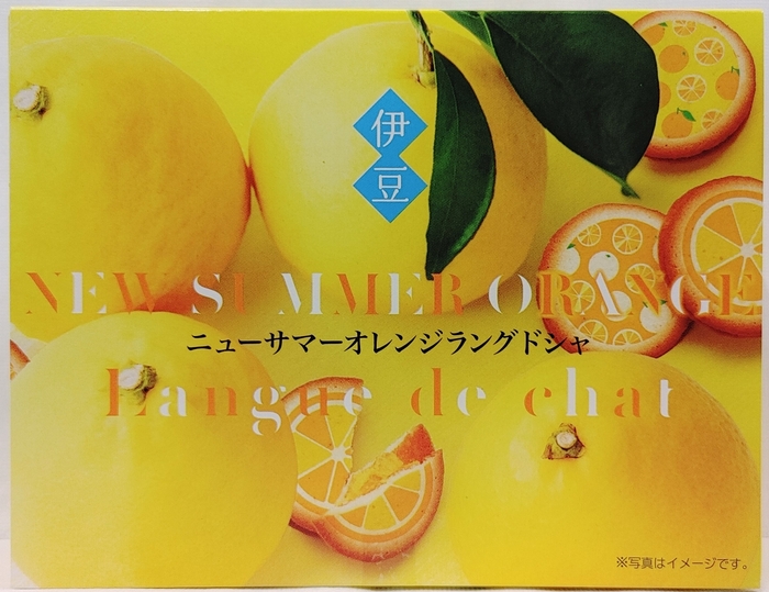 (大賞商品)ニューサマーオレンジ ラングドシャ 商品画像(外箱)
