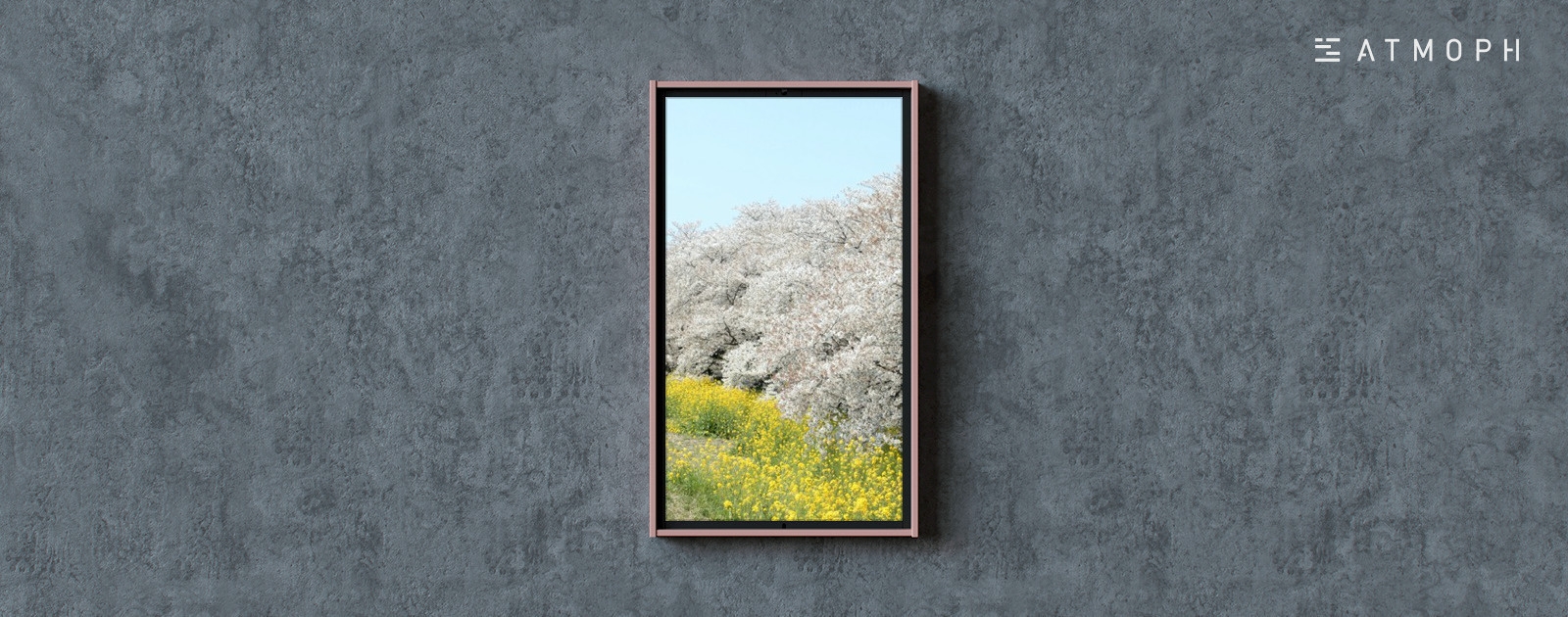 熊谷桜堤