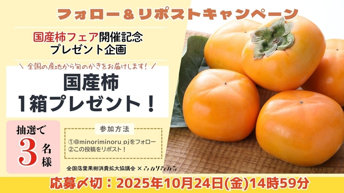 フォロー&リポストキャンペーン