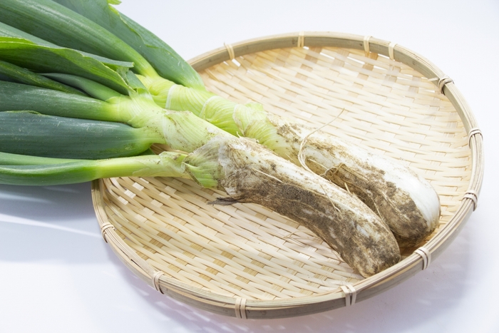 下仁田ねぎ イメージ