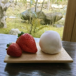 丹波産食材をふんだんに使用＆外周約15cmの迫力がSNS映えする 限定商品を高島屋大阪店で3月28日より期間限定販売！ ～「丹波産大粒いちご大福」＆「丹波の米粉けーき・苺」～