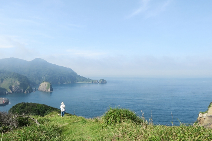 伊豆半島のダイナミックな地形と青く輝く駿河湾