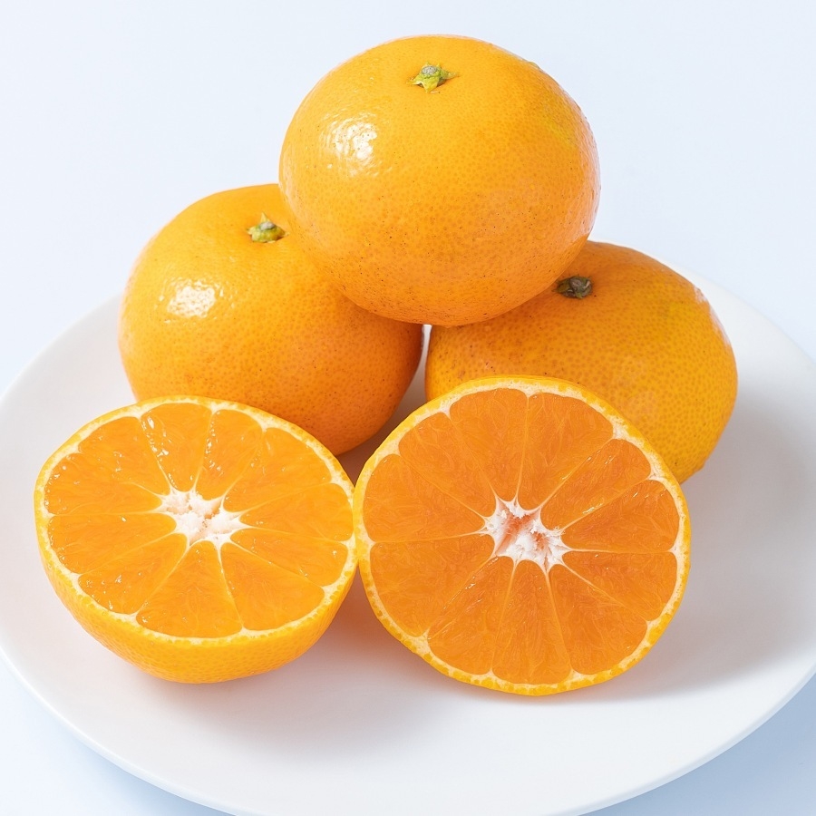 <岩田屋本店・南国フルーツ>福岡県みやま市産山川みかん3kg