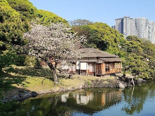 2015年復元:燕の御茶屋