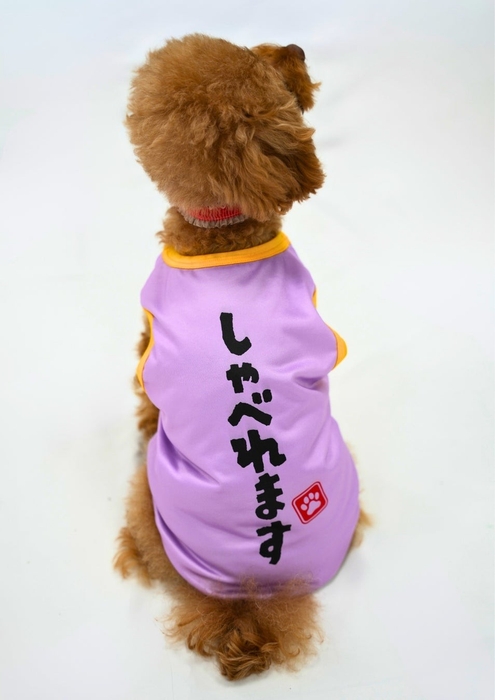 カプセルトイ「うちの子かわいい!ドッグウェア」モデル犬着用イメージ