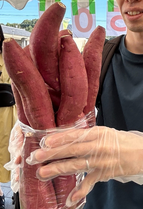 さつまいも詰め放題