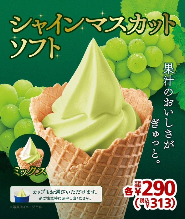 シャインマスカット 販促物画像