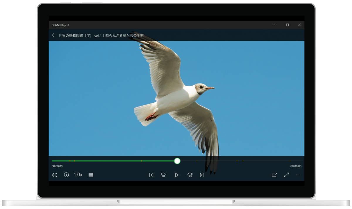 録画番組およびライブチューナーの再生