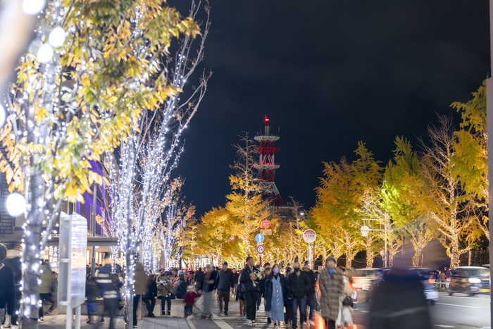 日本一！けやき大通りのイルミネーション