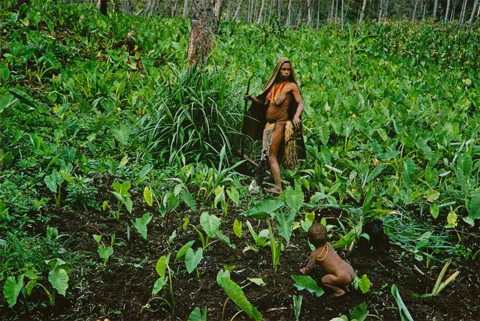 大石芳野 《ニューギニア:タロイモ畑の母子》 1973年