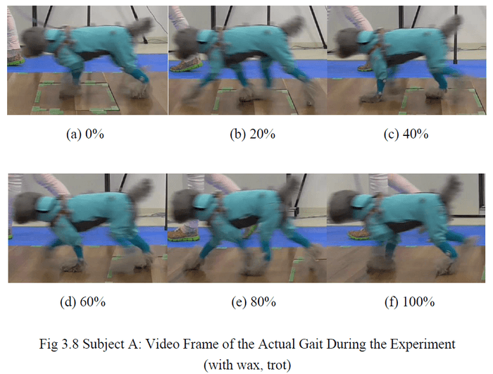 実験中の歩行(ビデオフレーム)