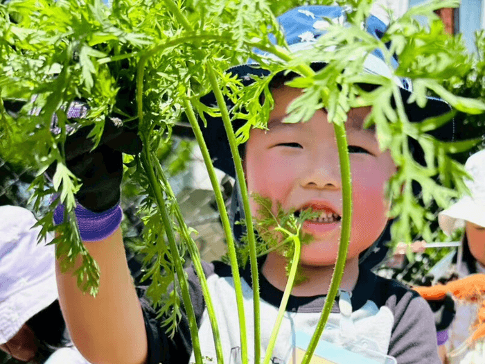 ニンジンの収穫をして喜ぶ子供