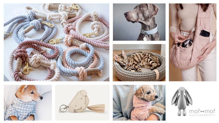 2022年サマーコレクション