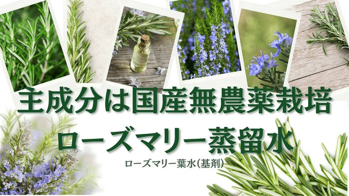 無農薬ローズマリー主成分