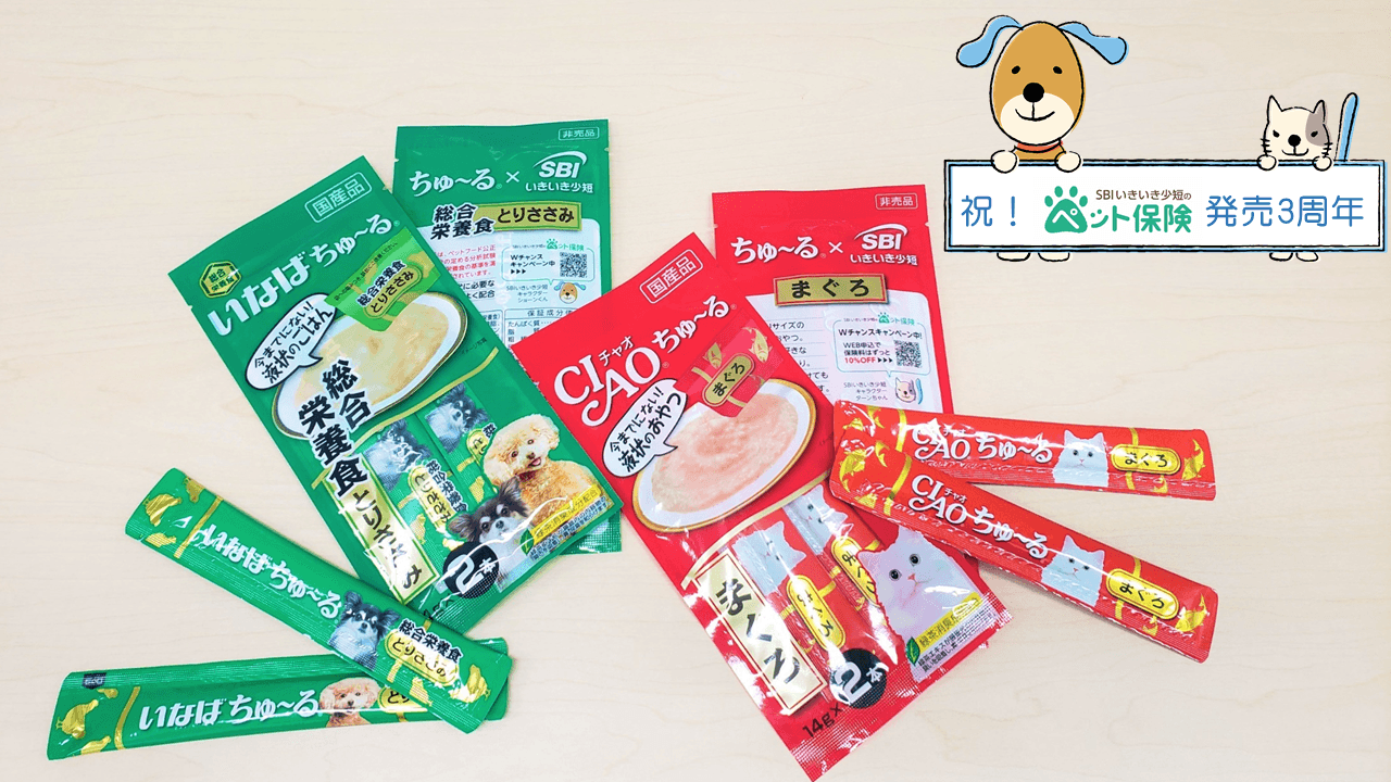 賞品イメージ