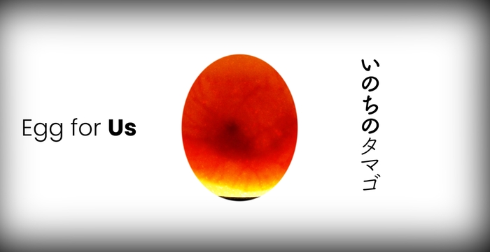 ヒヨコが誕生するまでの成長記録を投影