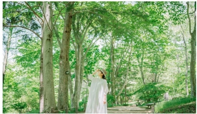 【六甲高山植物園】5月4日（日）は「みどりの日」 新緑が見頃です