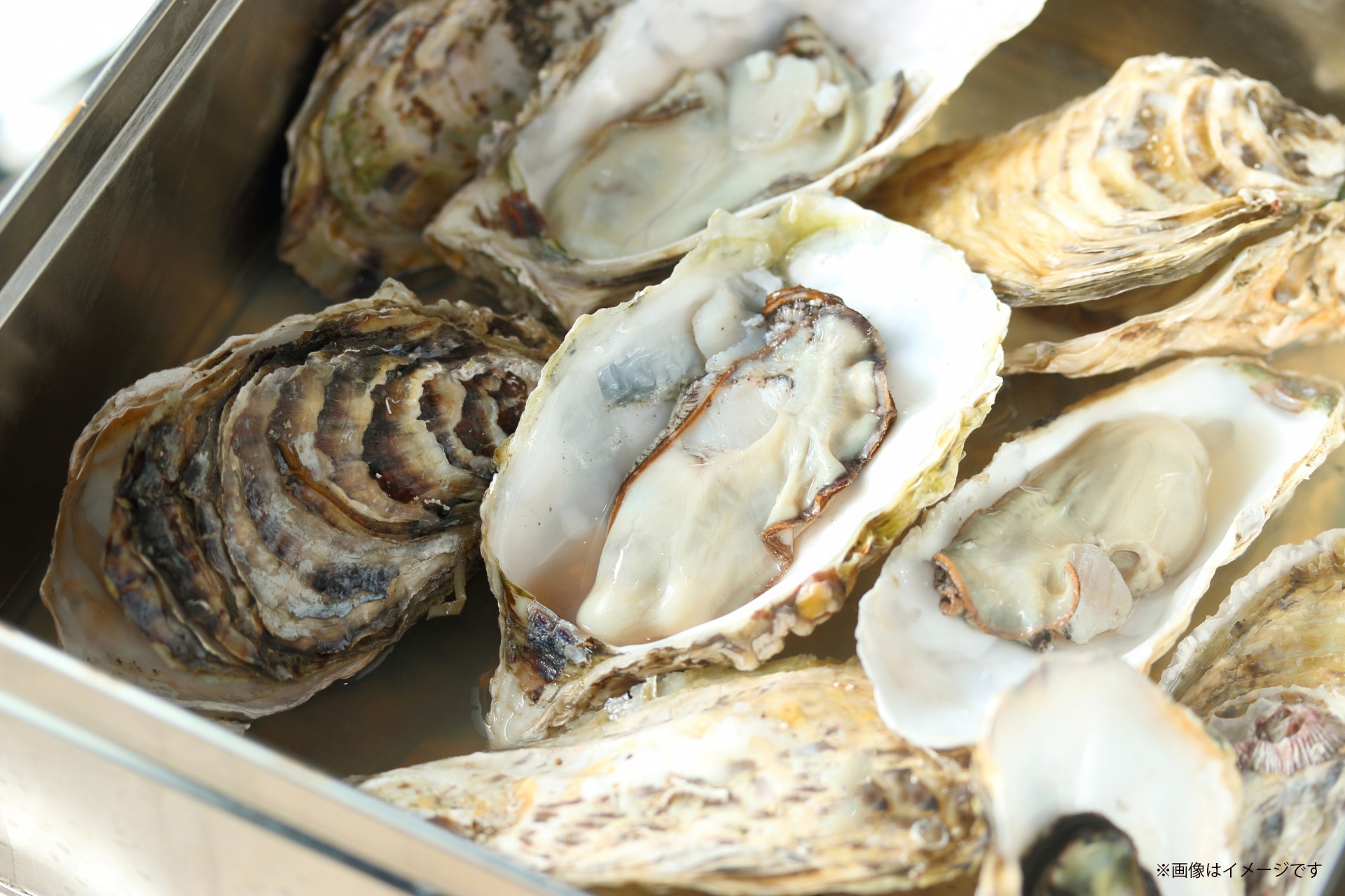 広島県産かき ※画像はイメージです