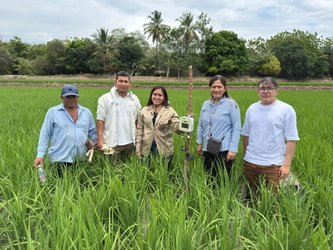 ペルーの水稲生産における病害管理プロジェクトに 「e-kakashi」が採用