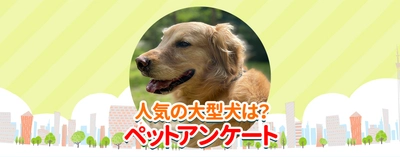 「もふもふの大型犬ランキング」を公開　 子犬を見つける検索サイト「愛犬ブリーダー」が調査