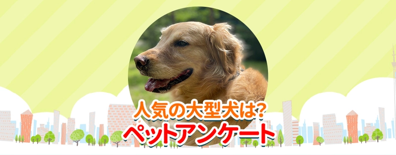 「もふもふの大型犬ランキング」を公開　 子犬を見つける検索サイト「愛犬ブリーダー」が調査