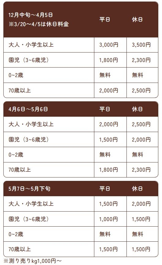 【the BERRY YOKOHAMA】2025-2026年シーズンいちご狩り料金表