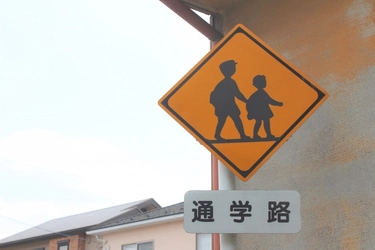 色彩の科学×マーケティングの秘密