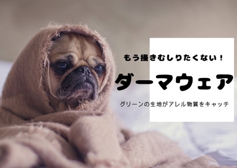 DERMA WEAR(ダーマウェア)