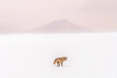 『第7回北海道撮影ポイントランキング年間グランプリ』開催　 4,212点の中からノミネート作品全159点を展示　 10月26日(土)～27日(日) 札幌駅前通地下歩行空間にて