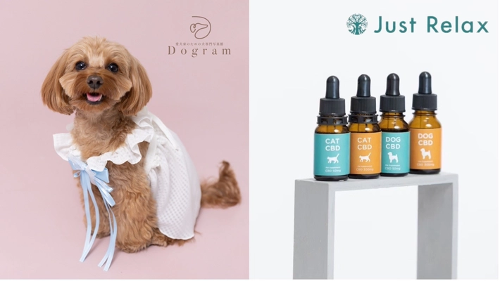 愛犬家のための犬専門写真館Dogramと ペット用CBDオイルブランド Just Relaxがコラボ！ 4月3日より開催の「第14回インターペット」に出展