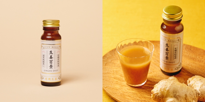 後藤製菓 生姜百景 GINGER SHOT