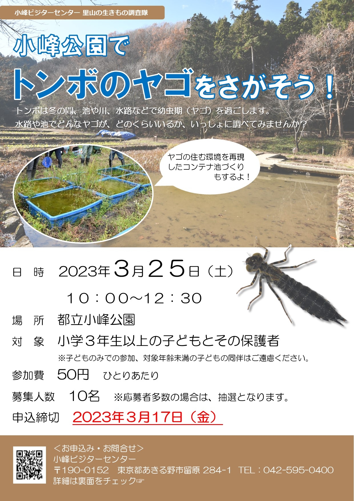 チラシ(表)