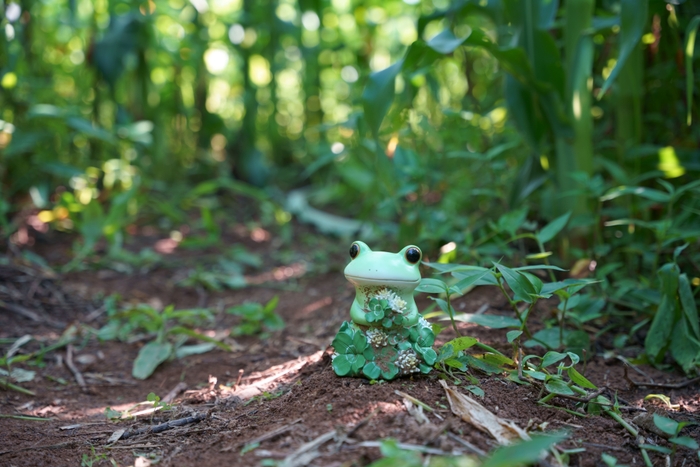 コースに隠れるカエルを探せ