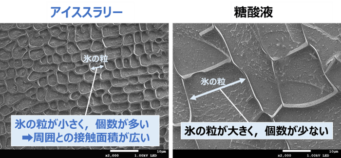 図3.アイススラリーと糖酸液の凍結構造の画像※5