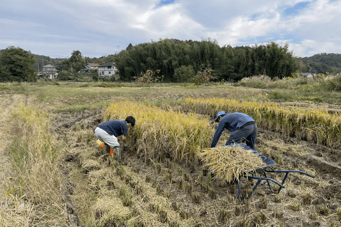 農業（1次産業）