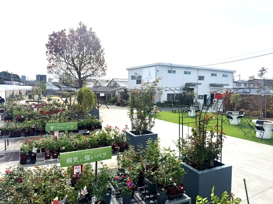～総合造園・園芸会社がプロデュースする体験展示スペース～  「京阪園芸ガーデナーズPARK(パーク)」 2025年10月24日（金）オープン！