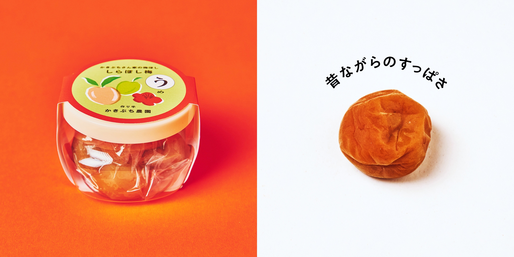 かきぶち農園 かきぶちさん家の梅ぼし しらぼし梅