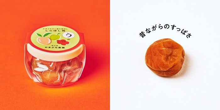 かきぶち農園 かきぶちさん家の梅ぼし しらぼし梅