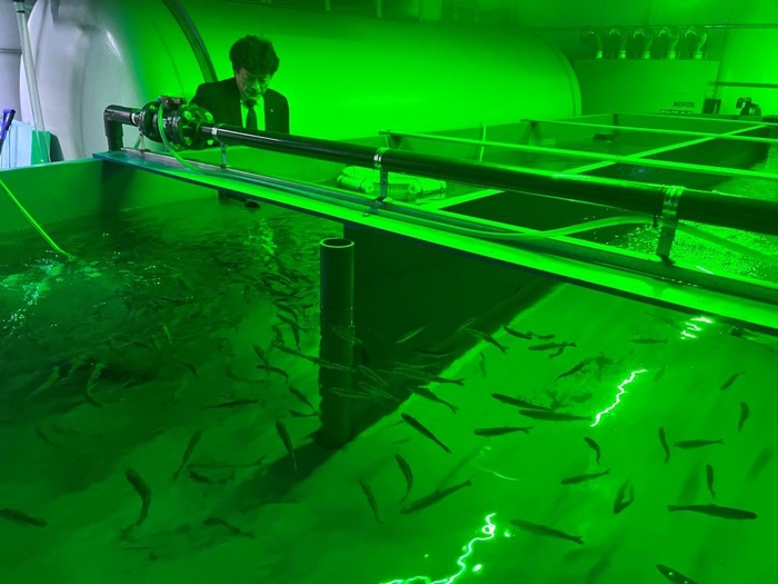 大きく育って来夏以降に出荷される見通しです