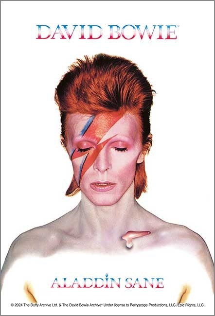 120-016:ALADDIN SANE(アラジン・セイン)