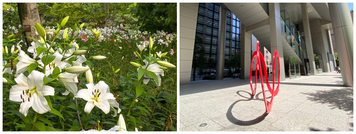 公園に咲く綺麗な花や面白い形のモニュメントも“発見”!