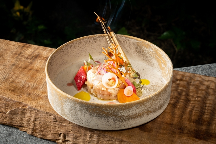 前菜|大和肉鶏のタルタル