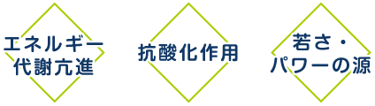 ユビキノール・還元型コエンザイムQ10 200㎎