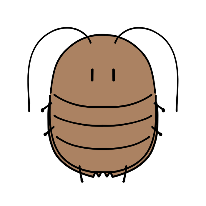 ゆるふわゴキブリ3